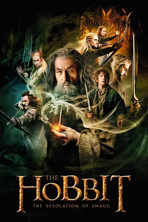 The Hobbit 4: The Desolation of Smaug 2 Poster