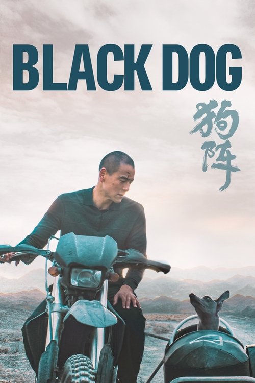 Black Dog Poster