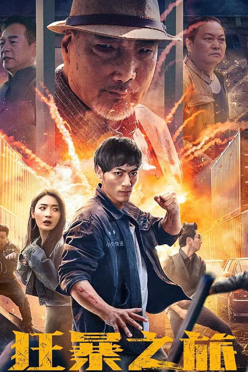 Wild Journey Poster