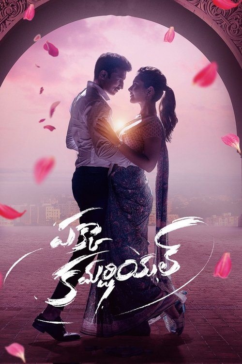Pakka Commercial Part A Poster
