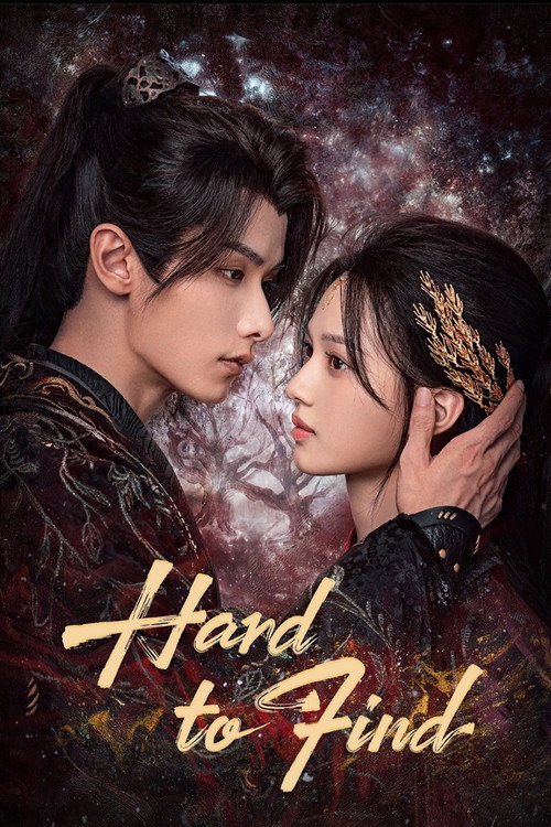Hard to Find Poster